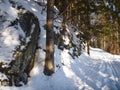 Winter in jizerske hory ridge in czech republic
