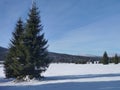 Winter in jizerske hory ridge in czech republic