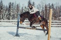 Winter jump horse ride jumping Royalty Free Stock Photo