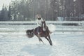 Winter Jump Horse Ride Jumping