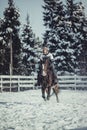 Winter jump horse ride jumping Royalty Free Stock Photo