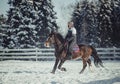 Winter jump horse ride jumping Royalty Free Stock Photo