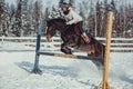 Winter jump horse ride jumping Royalty Free Stock Photo