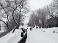 Winter in Khabarovsk Royalty Free Stock Photo