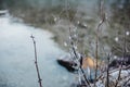 Winter koenigssee bayern alps