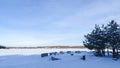 In winter the lake is covered with ice and snow on top. On the shore there are pine trees, a concrete parapet and benches. On the Royalty Free Stock Photo