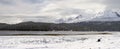 Winter lake and mountains. Royalty Free Stock Photo