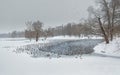 Winter lake with patterns on the snow cover of the water and lots of flying gulls in the city park on a snowy day. Gatchina. Royalty Free Stock Photo