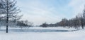 Winter lake with patterns on the snow cover of the water and lots of flying gulls in the city park on a snowy day. Panoramic view Royalty Free Stock Photo