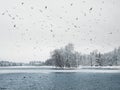 Winter lake with patterns on the snow cover of the water and lots of flying gulls in the city park on a snowy day. State Museum Royalty Free Stock Photo