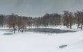 Winter lake with patterns on the snow cover of the water and lots of flying gulls in the city park on a snowy day. State Museum Royalty Free Stock Photo