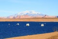 Arizona, Page: Lake Powell with houseboats - Navajo Mountain Royalty Free Stock Photo