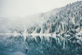 Winter Lake and snowy coniferous Forest Landscape