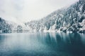 Winter Lake and snowy coniferous Forest Landscape