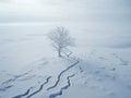 winter lamdscape with snow and a bare tree, banner format, tranquil scenary Royalty Free Stock Photo