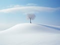 winter lamdscape with snow and a bare tree, banner format, tranquil scenary Royalty Free Stock Photo