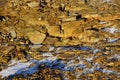 Winter land of rocks and snow in Orkney Islands Scotland