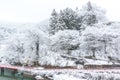 Winter Landcape lake