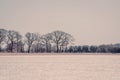 Winter landcape in violet tone Royalty Free Stock Photo