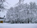 Winter snowy landcsape view Royalty Free Stock Photo