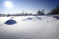 Winter landscape.