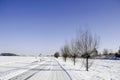 Winter landscape Royalty Free Stock Photo