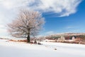 Winter landscape Royalty Free Stock Photo
