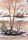 Winter landscape