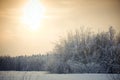 Winter landscape Royalty Free Stock Photo