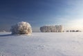 Winter landscape Royalty Free Stock Photo