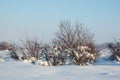 Winter landscape Royalty Free Stock Photo