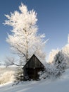 Winter landscape