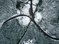 Winter landscape. Aerial view snowy forest and road