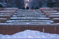 winter landscape in the alley of city park Royalty Free Stock Photo