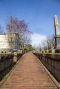 A winter landscape along a red brick footpath with bare winter trees, lush green plants with flowers headstones and graves