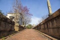 A winter landscape along a red brick footpath with bare winter trees, lush green plants with flowers headstones and graves