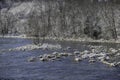 Winter landscape along the South Holston River