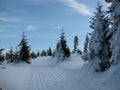 Winter landscape along the tracks for cross-country skiing Royalty Free Stock Photo