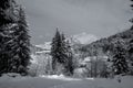 Winter landscape in the Alps, Austria, Seefeld.