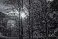 Winter landscape in the Alps, Austria, Seefeld.