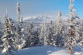 Winter landscape of altai mountains