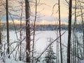 Winter Landscape Anchorage Alaska