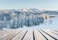 Winter landscape. In anticipation of the holiday. Dramatic wintry scene. Carpathian Royalty Free Stock Photo