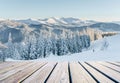 Winter landscape. In anticipation of the holiday. Dramatic wintry scene. Carpathian