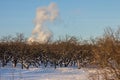 Winter landscape with an apple orchard and a column of smoke above it against a blue sky on a clear sunny frosty day. Royalty Free Stock Photo