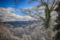 Winter landscape in Ardennes