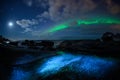 Winter landscape with Aurora Borealis and full moon in Lofoten archipelago , Norway northern light s