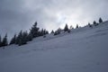 Winter landscape between Azuga and Grecul peak towards Gura Diham chalet Royalty Free Stock Photo