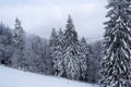 Winter landscape between Azuga and Grecul peak towards Gura Diham chalet Royalty Free Stock Photo