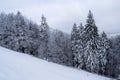 Winter landscape between Azuga and Grecul peak towards Gura Diham chalet Royalty Free Stock Photo